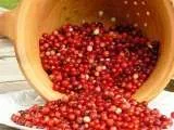 Merisoare-cranberries- pentru Sos