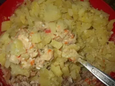 Salata boeuf cu curcan - poza 6