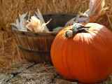 Bunătăți cu dovleac pentru sărbătoarea de Halloween