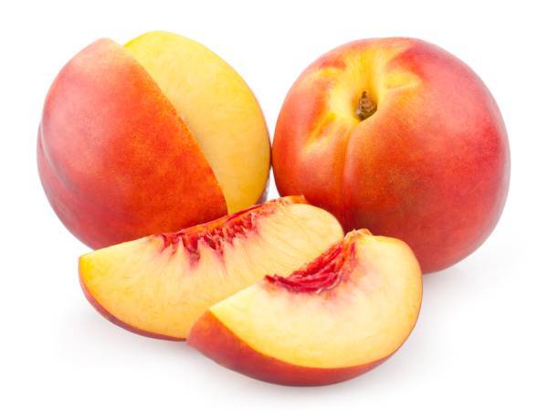 nectarina