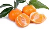 Mandarinele