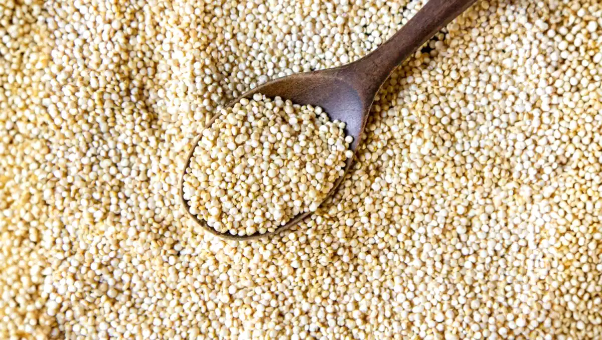 Știați că unele semințe au mai multe proteine decât carnea?
