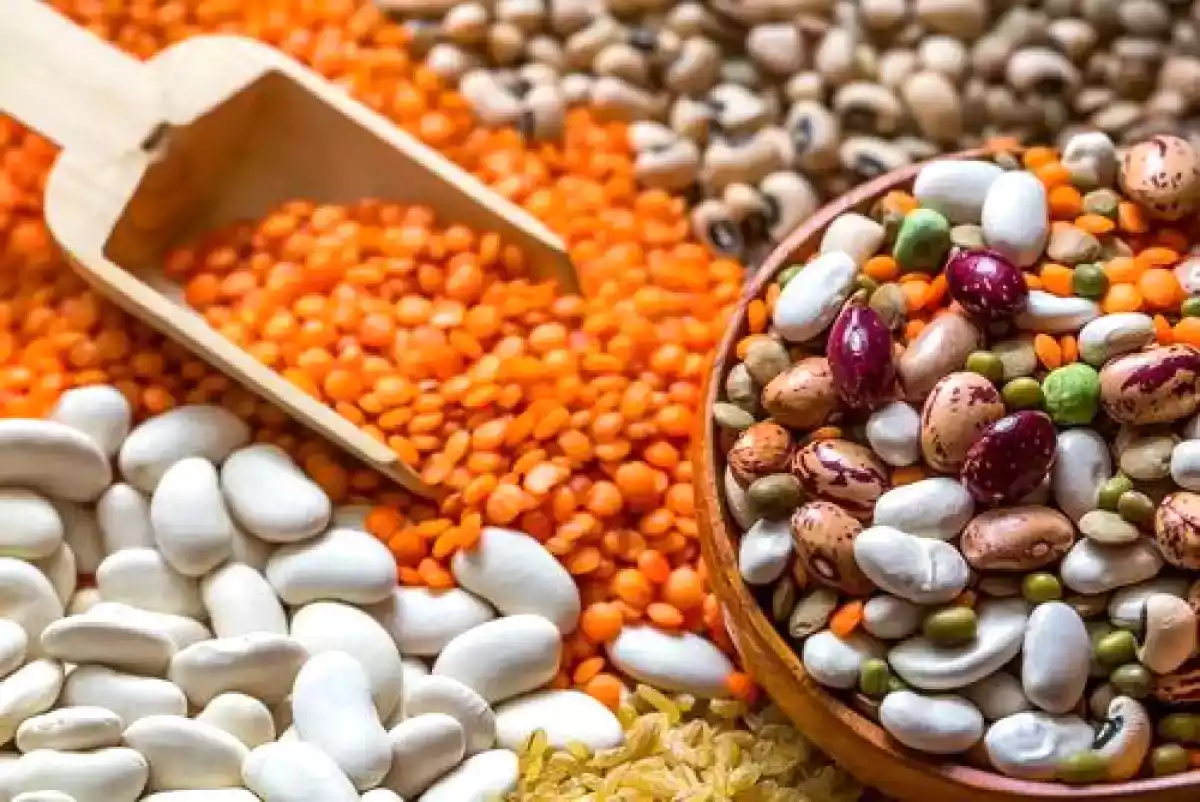 2016 - Anul International al Leguminoaselor