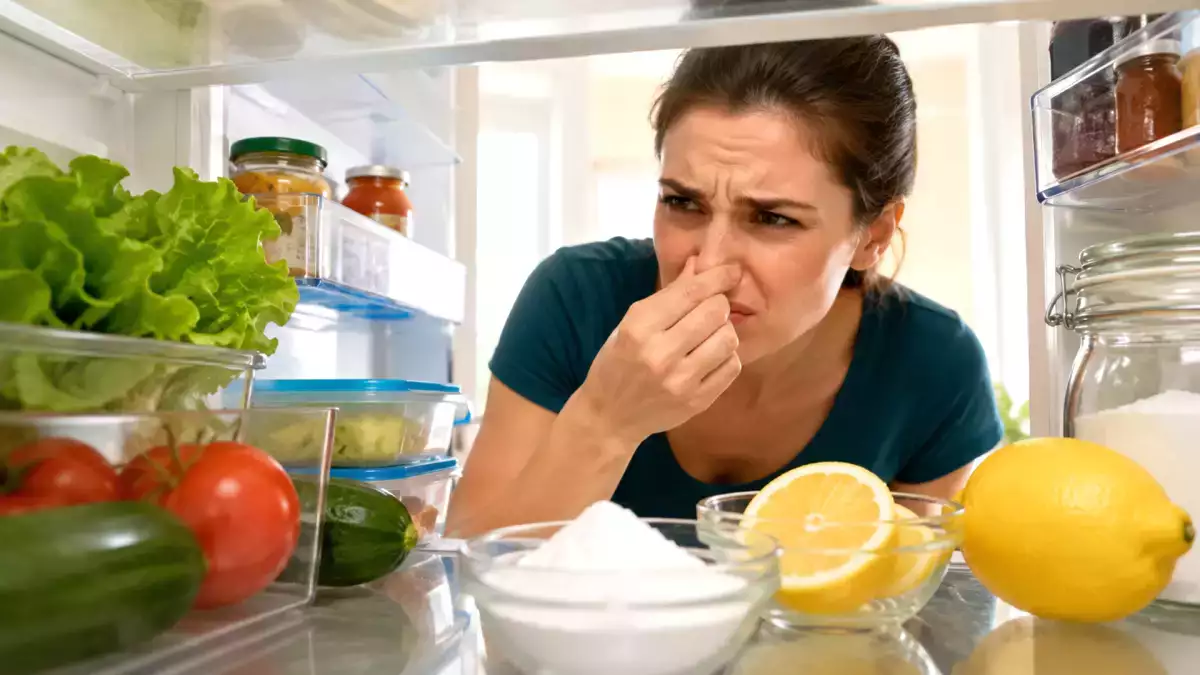 Trucul natural al bunicilor italiene pentru a elimina mirosurile din frigider fără chimicale