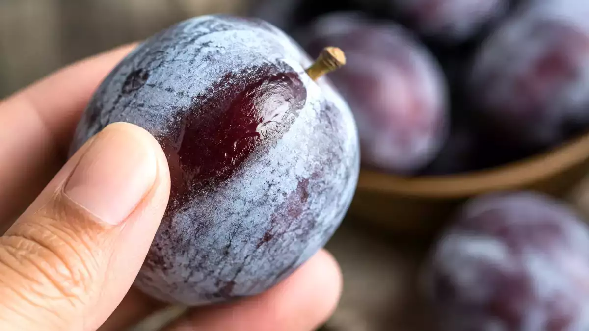 Pare a fi murdărie, dar ce este, de fapt, stratul albicios de pe prune?