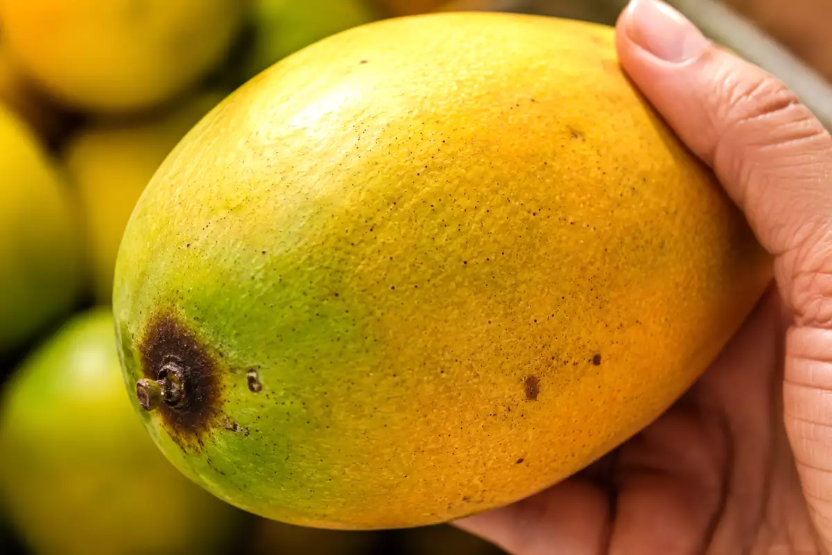 Aproape toată lumea alege greșit mango la piață și își dă seama de greșeală abia când ajunge acasă