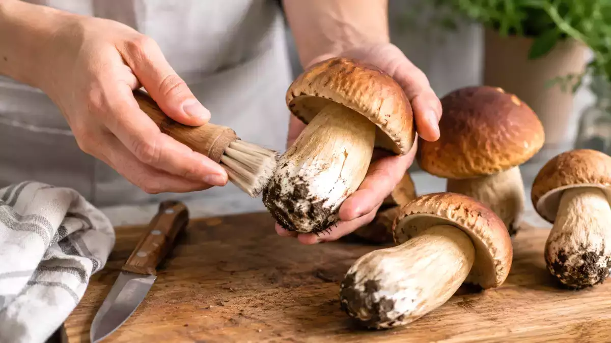 Tocmai ai curățat ciupercile porcini proaspete? Gestul simplu pe care trebuie să-l eviți cu orice preț înainte de a le găti