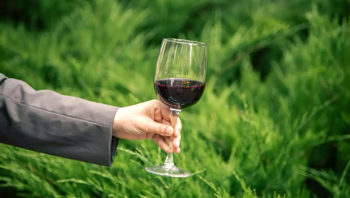 Vinul vegan: ce este, cum este produs și de ce câștigă din ce în ce mai mulți consumatori?