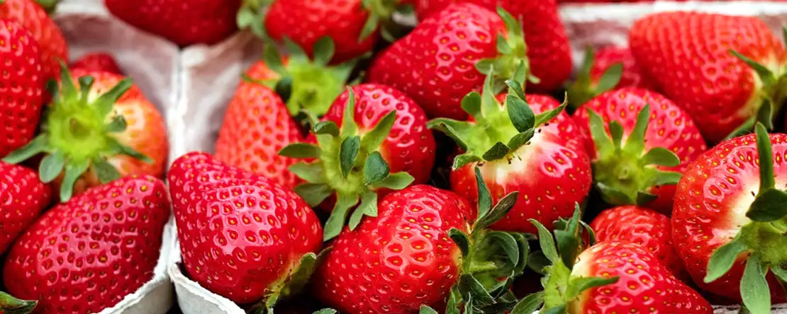 Astfel, vă puteți păstra căpșunile mai mult timp!