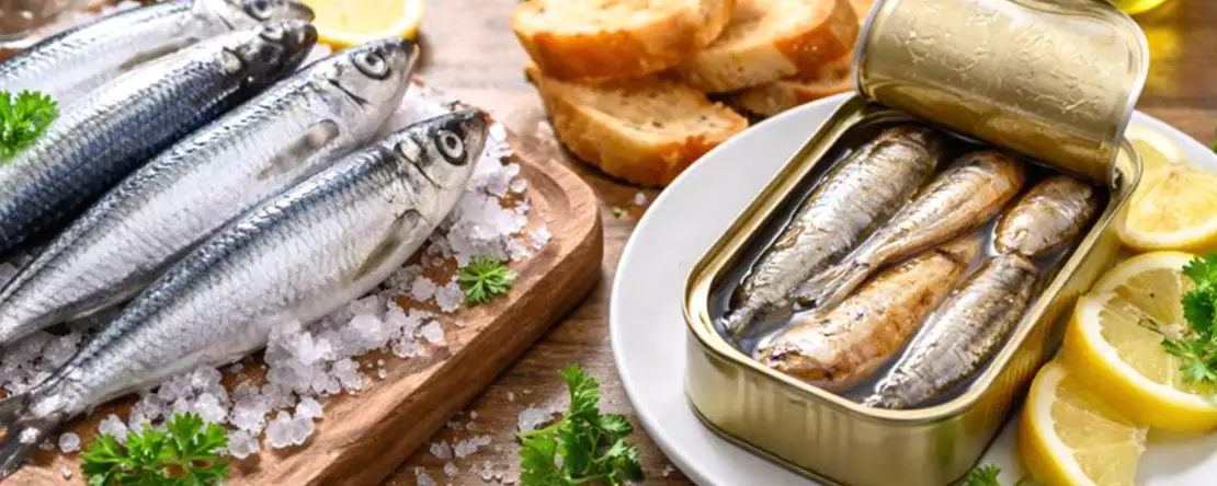 Sardine proaspete și conservate: tot ce trebuie să înțelegeți înainte de a decide ce puneți pe masă
