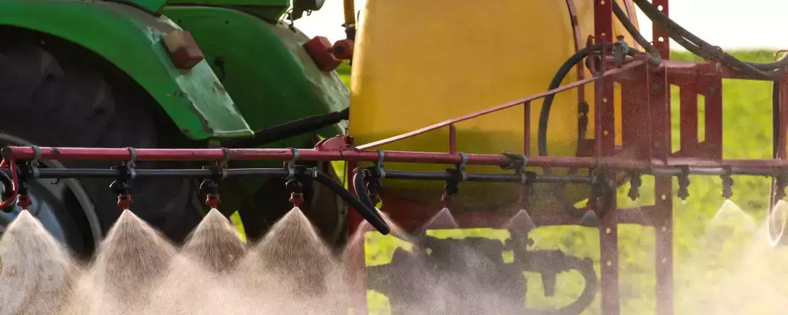 Este suficient să mănânci organic pentru a evita cadmiul? Ce spune Anses cu adevărat (și de ce dezbaterea provoacă agitație)