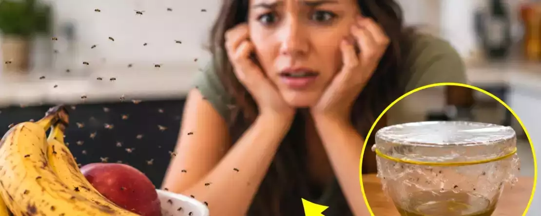 Cum să scapi de țânțarii de bucătărie într-o singură noapte: remediul natural (fără spray-uri chimice)