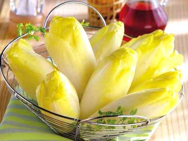 Andivele sau Cicoarea de Bruxelles