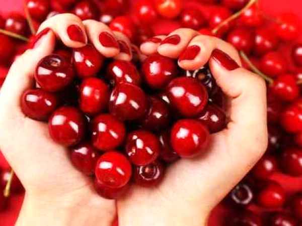 Ciresele - fructele lui Mai