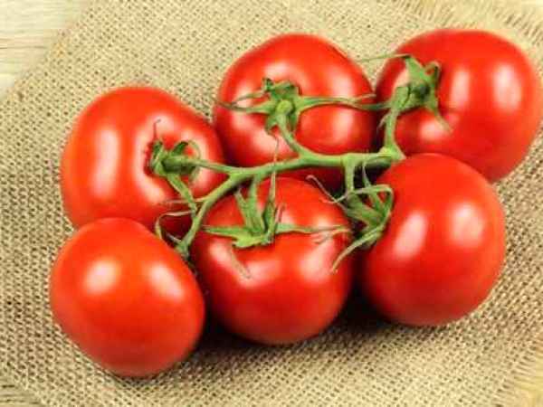 Rosia - vedeta verii