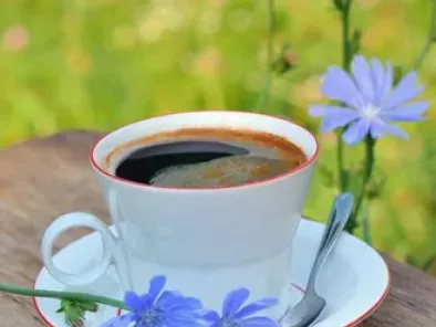 Cafeaua de cicoare