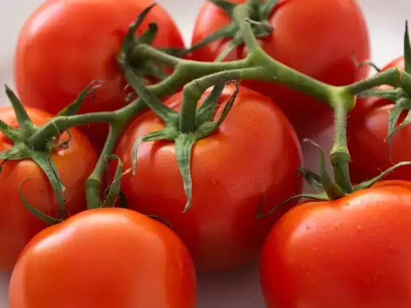 Roșiile: aceste 8 rețete vă arată cum să le preparați mai mult decât o simplă salată