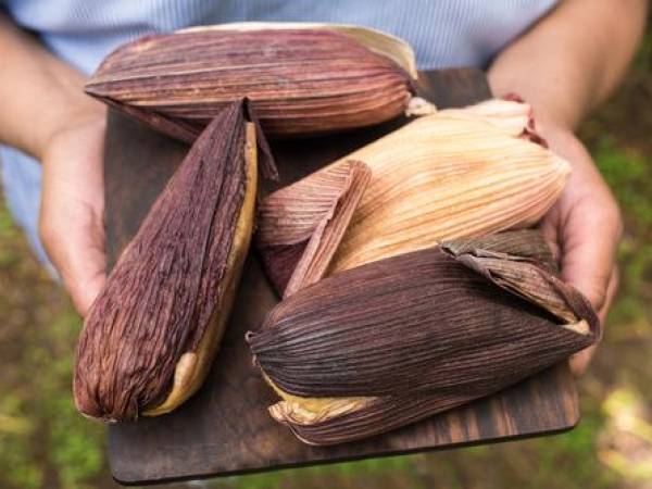 Tamale – preparat al traditiei culinare mexicane