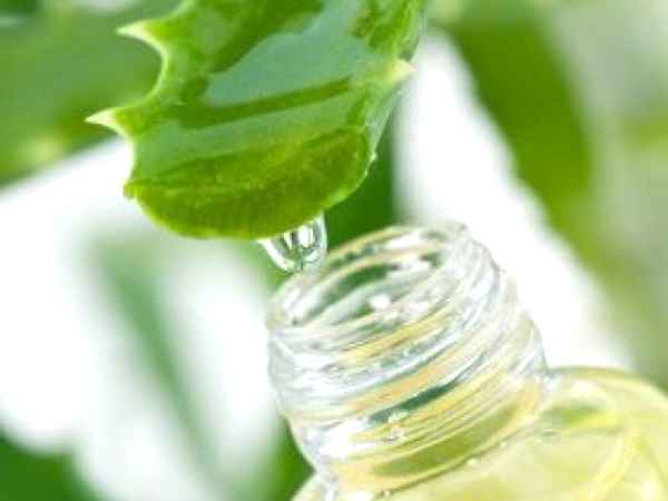 Beneficiile sucului de aloe vera