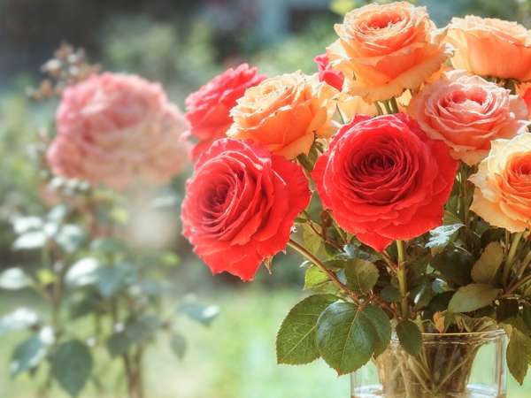 Ai primit flori de Valentine's Day? Ingredientul din cămară care le ajută să reziste mai mult