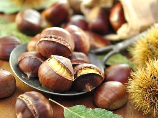 Despre castanele comestibile