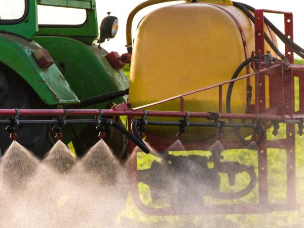 Este suficient să mănânci organic pentru a evita cadmiul? Ce spune Anses cu adevărat (și de ce dezbaterea provoacă agitație)