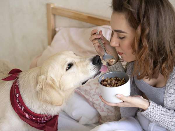 8 alimente pe care cu siguranță nu ar trebui să le dai câinelui tău!