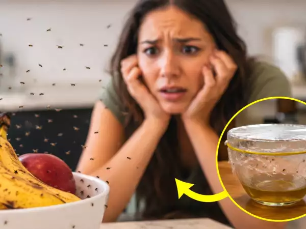 Cum să scapi de țânțarii de bucătărie într-o singură noapte: remediul natural (fără spray-uri chimice)