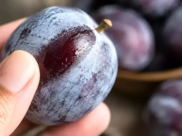 Pare a fi murdărie, dar ce este, de fapt, stratul albicios de pe prune?