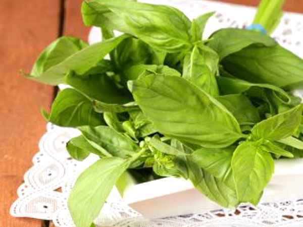 Sa dregem Busuiocul!