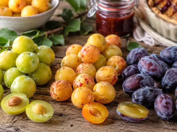 Prune Reine-Claude, mirabelle, prune de cireș: ce soi de prune să alegi în funcție de rețetă?
