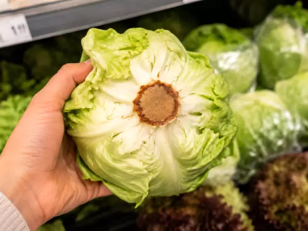 Salata se ofilește imediat? Verifică cotorul înainte s-o cumperi