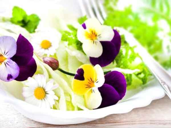 Florile comestibile – parfum, culoare si aroma in farfurie