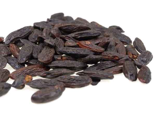 Fasolea Tonka - boabele cu aroma inconfundabila