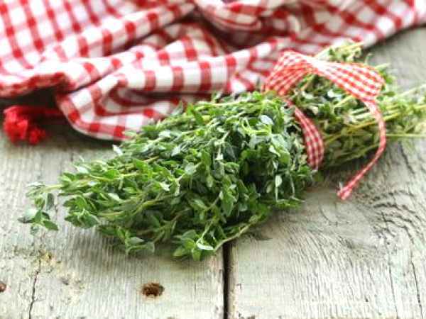 Cimbrul - condimentul panaceu
