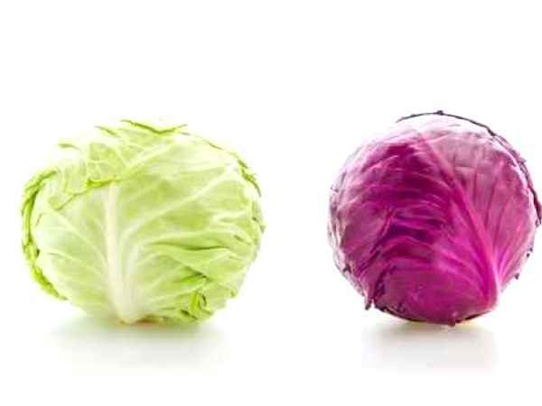 Varza - remediu universal