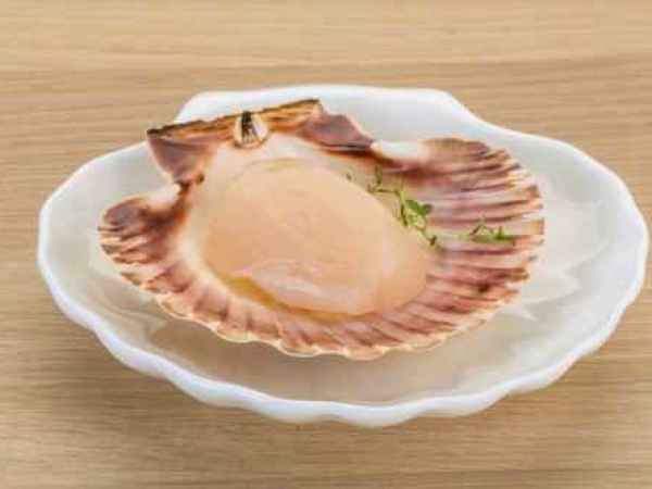 Scoicile Saint Jacques - „Reginele Marilor”