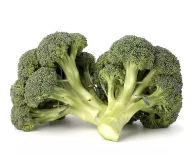 Broccoli – un superstar nutritional!