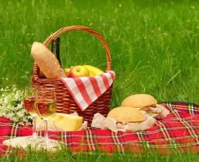 Cosul de picnic - o adevarata provocare