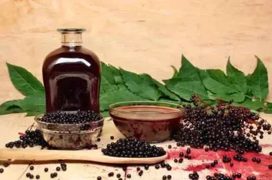 Fructele de soc – de la preparate medicinale la delicii culinare
