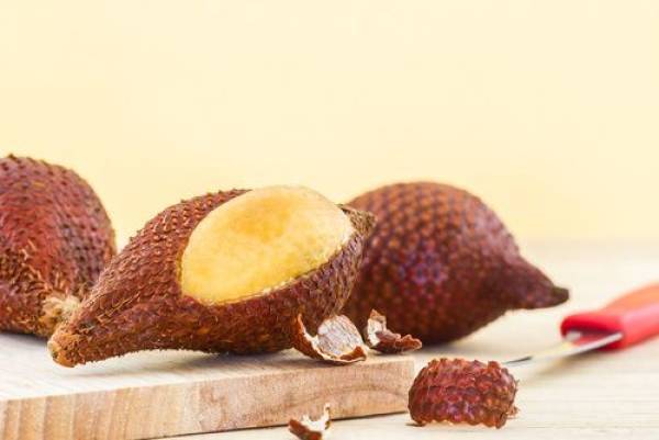 Salak sau “Fructul sarpelui”