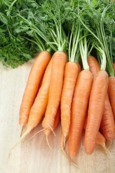 Cateva lucruri pe care, probabil, nu le stiti despre morcovi