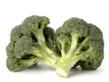 Broccoli – un superstar nutritional!