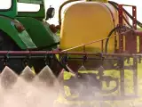 Articole: Este suficient să mănânci organic pentru a evita cadmiul? Ce spune Anses cu adevărat (și de ce dezbaterea provoacă agitație)