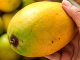 Articole: Aproape toată lumea alege greșit mango la piață și își dă seama de greșeală abia când ajunge acasă