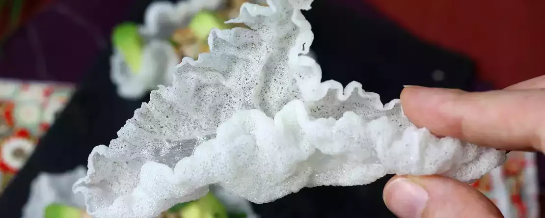 Cum fac chipsuri cu foi de orez?