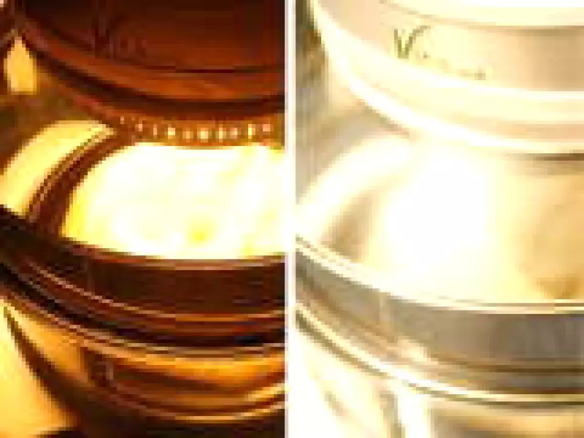 Paine la cuptorul cu halogen