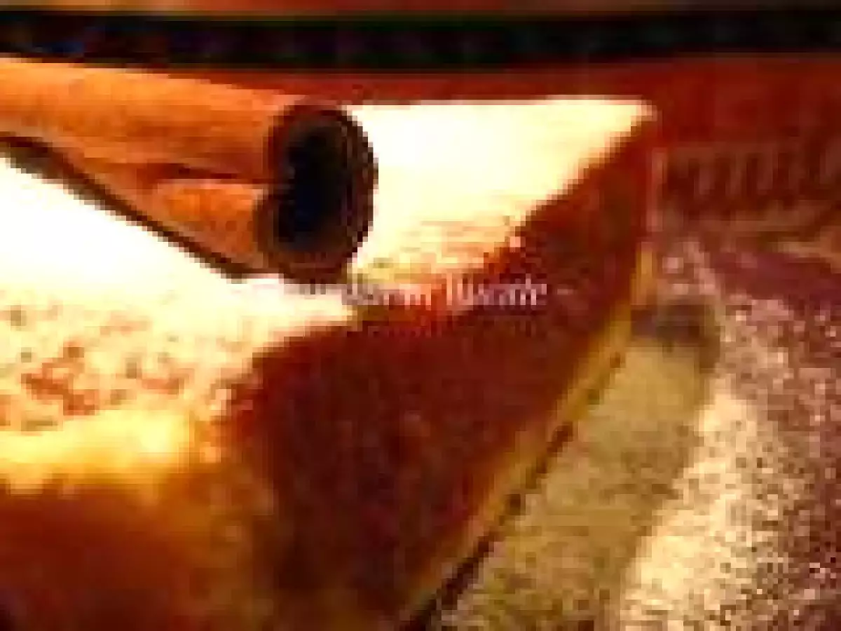 PLACINTA CU DOVLEAC SI SCORTISOARA