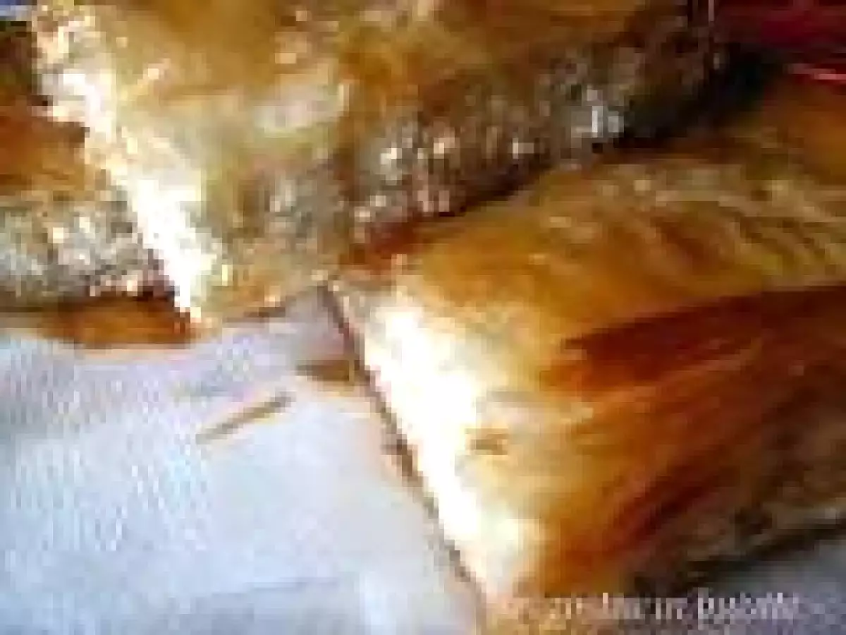 PLACINTA DIN FOI CU TELEMEA SARATA