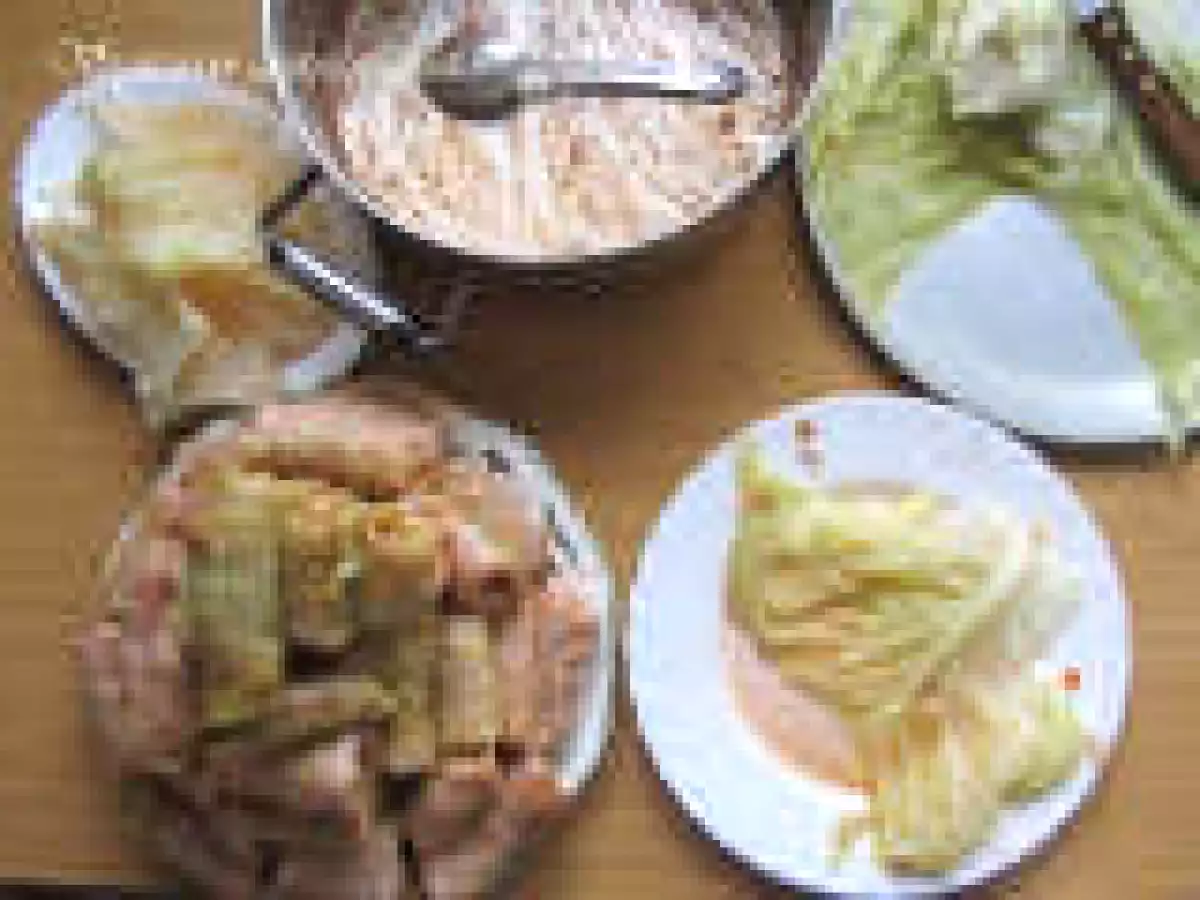 VARZA PENTRU SARMALE / REPOLLO PARA SARMA